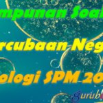 Himpunan Soalan Percubaan Negeri Biologi SPM 2024