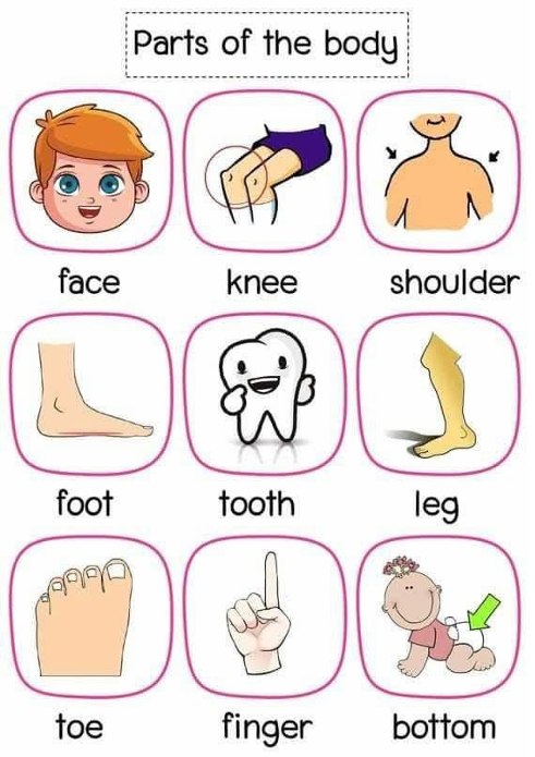 Nota Padat Bahasa Inggeris VERB