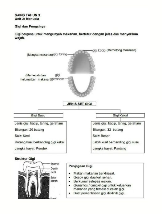 Nota Sains Tahun 3