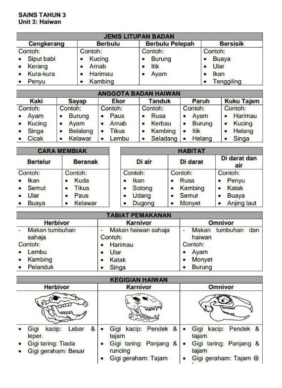 Nota Sains Tahun 3