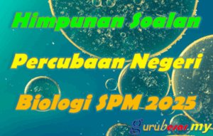Home 28 Himpunan Soalan Percubaan Negeri Biologi SPM 2025