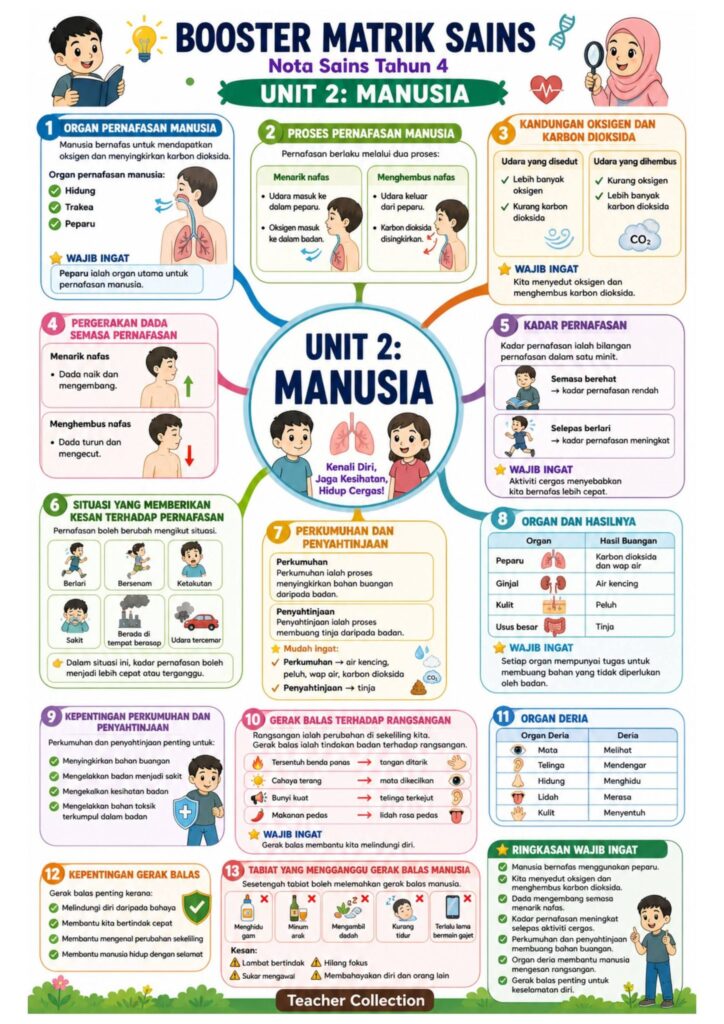 Nota Ringkas Peta Minda Sains Tahun 4